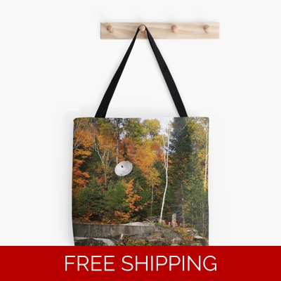 Le Studio Tote Bag Satellite Dish Fall 2019